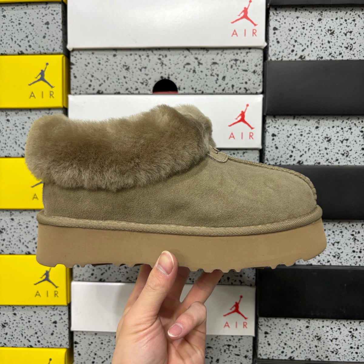 UGG Tasman Slipper – Antelope | Style 4810-3 | EU 36–40