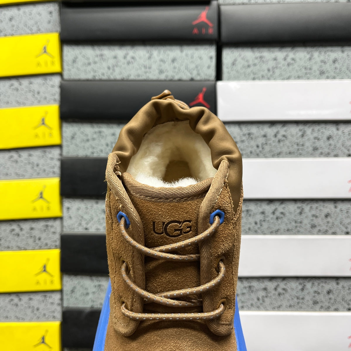 UGG Neumel Lace-Up Boot – Tan & Blue | Style 1113991 | Sizes 35–45