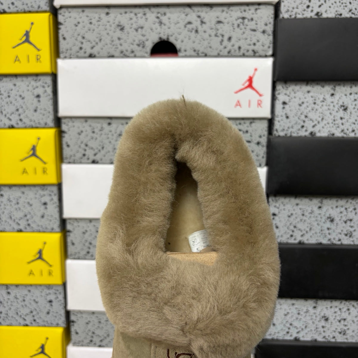 UGG Tasman Slipper – Antelope | Style 4810-3 | EU 36–40