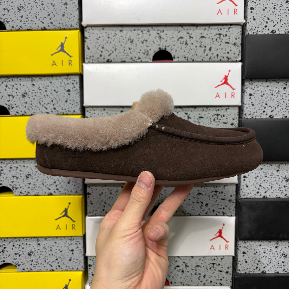 UGG Ansleigh Clog – Cocoa | Style W1171391 | EU 35–40
