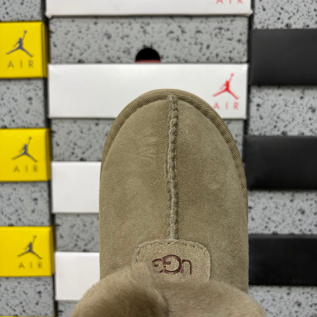 UGG Tasman Slipper – Antelope | Style 4810-3 | EU 36–40